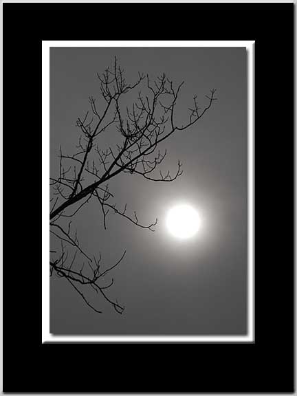 Halo BW