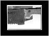 Blade and Shank BW
