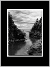 Cove BW