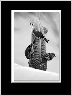 Goldfinches BW